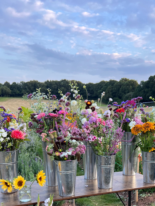 Private Event - Haskoning Sip & Pick Tuesday 28th July